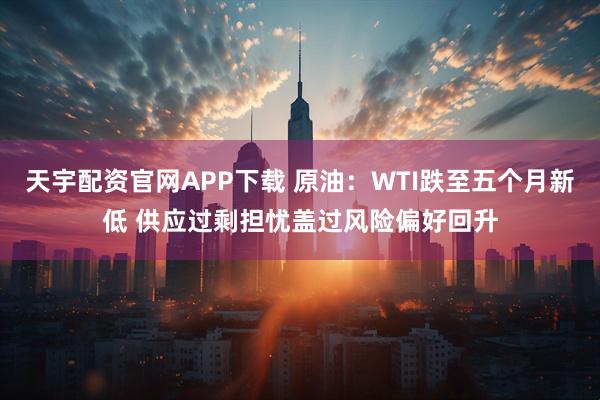 天宇配资官网APP下载 原油：WTI跌至五个月新低 供应过剩担忧盖过风险偏好回升