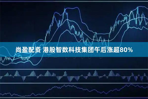 尚盈配资 港股智数科技集团午后涨超80%
