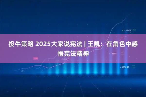 投牛策略 2025大家说宪法 | 王凯：在角色中感悟宪法精神