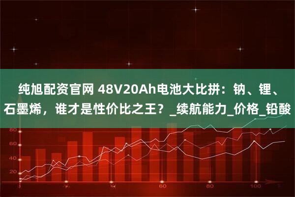 纯旭配资官网 48V20Ah电池大比拼：钠、锂、石墨烯，谁才是性价比之王？_续航能力_价格_铅酸