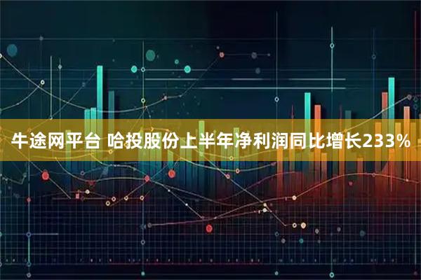 牛途网平台 哈投股份上半年净利润同比增长233%